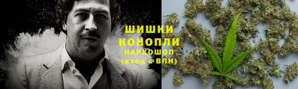 ALPHA PVP Беломорск